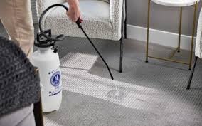 carpet cleaning van s chem dry