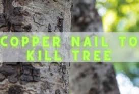 can you use copper nail to kill tree 4