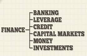 Levi straussv, gm & more. Finance Definition