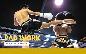 muay thai mastery the critical role of