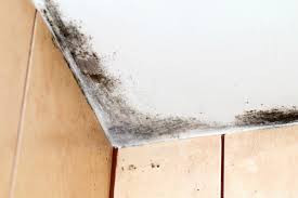 remove black mold on the ceiling
