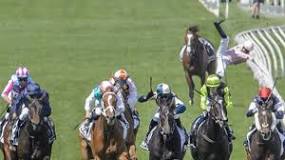 what-horses-have-died-in-the-melbourne-cup