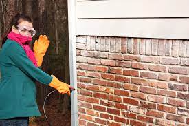 how to remove paint from exterior brick