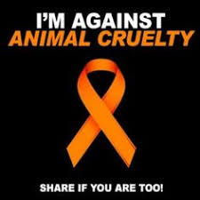 Animal Cruelty Quotes on Pinterest | Animal Rights Quotes, Stop ... via Relatably.com