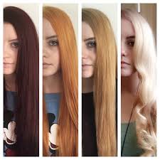 This is why going blonde will never cease to be the trend to try. Going From Dark Hair To Blonde Hair Francesco Group Hairdressing