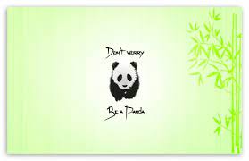 be a panda ultra hd desktop background
