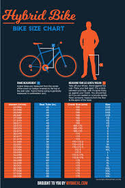 Bike Size Chart 2019 The Ultimate Guide With