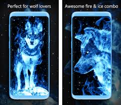 ice fire wolf wallpaper apk