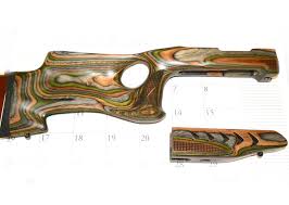 ruger 10 22 takedown paladin stock