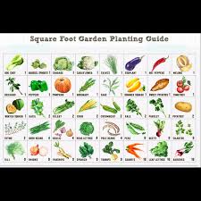 Square Foot Gardening Seasonal Planting Chart