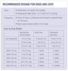 Metacam Dosage Chart For Dogs Goldenacresdogs Com
