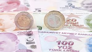 Convert 1 turkish lira to euro. Endspiel Fur Die Turkische Lira Bernstein Bank
