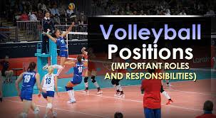 volleyball positions important roles