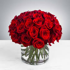 1 dz red roses 120 2 dz red rose 195