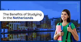 why studying in netherlands is always a