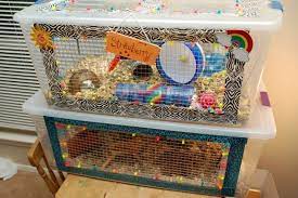 10 Diy Hamster Cages You Can Build