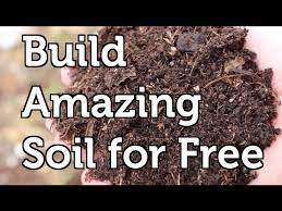 Build Amazing Fertile Garden Soil Using