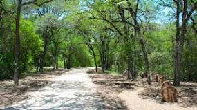 Eisenhower Park de San Antonio | Horario, Mapa y entradas 4
