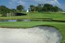 Saddlebrook Resort Palmer Course Golf Packages | Tee Times USA