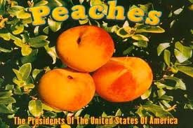 A significant lack of canned peaches in your life bringing you down? Peaches By The Presidents Of The United States Of America Essential Songs Of The 90s 1 Miserable Retail Slave