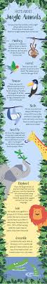 Owls store frozen voles and sit on them to thaw/eat. Fun Jungle Animal Facts Jojo