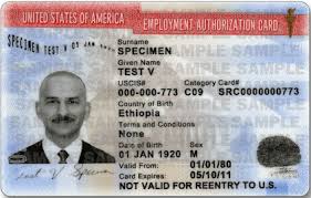 We did not find results for: How To Replace A Lost Or Stolen Social Security Card Toughnickel