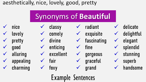 another word for beautiful what is