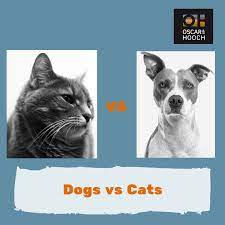 dogs vs cats which is better oscar