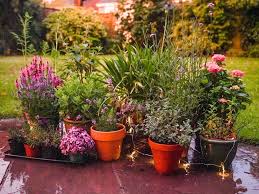 A Cottage Garden With Containers