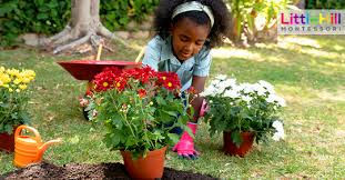 Caring For Plants Montessori Style