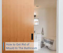 how to get rid of mould in the bathroom