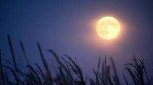 This full moon will help you embrace your truest, best self and ditch the haters. J Nepsiwacwism