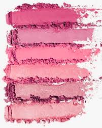 the true summer make up palette the
