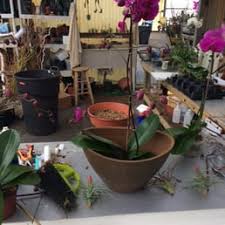 orchid garden boca raton fl last