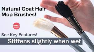 goat hair mop brushes key features