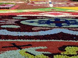 flower carpet design maartentravels com