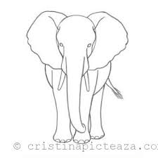 Îți mulțumim pentru că ești cu noi! Desene In Creion Cu Animale Elefant Tutorial Desen Pas Cu Pas