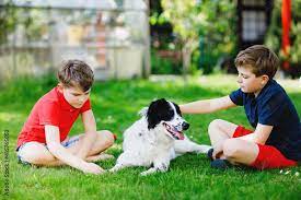 Two Kids Boys Playing With Family Dog In Garden Laughing Children  gambar png