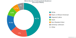 University At Albany Diversity Racial Demographics Other
