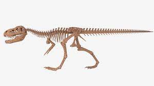 Contrary to logic, they are not collected in one place where you. Tyrannosaurus Rex Skeleton By Xepphirestudios 3docean