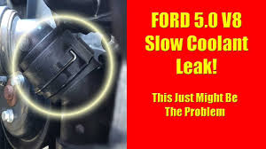 f 150 slow coolant leak change the