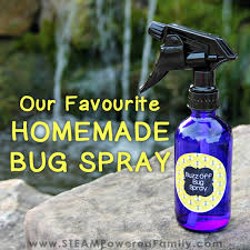 our favourite homemade bug spray for kids