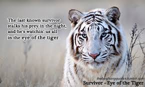Survivor — eye of the tiger rokky balboa 04:00. The Best Song Quotes Survivor Eye Of The Tiger