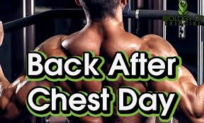 back after chest day what you should know
