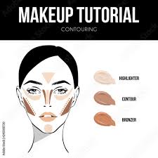 contour makeup makeup woman face chart