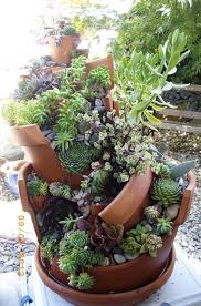 How To Display Succulents 59 Cute