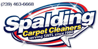 spalding carpet cleaners reviews ft