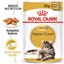 royal canin maine gravy cat