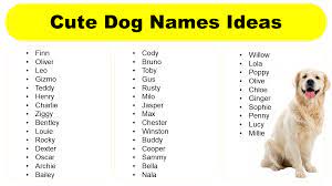 cute dog names for your adorable pet
