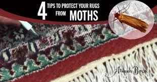 protect your rugs from moths atiyeh